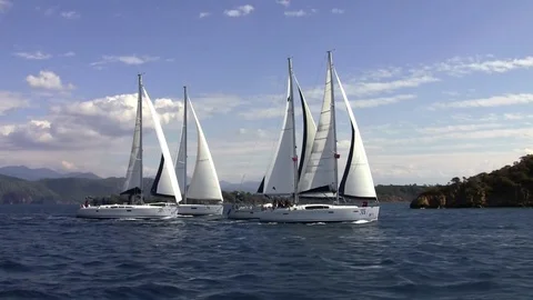 Sail Boats Stock Footage 77072189