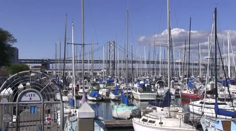 Sail boats in the harbor Video stock 49126244
