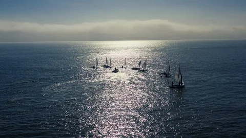 Sail Boats - Lisbon 動画素材 101310181