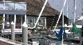 Sail Boats In Marina HD Footage