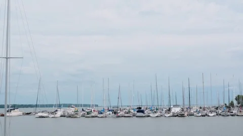 Sail boats in a pier Stock Footage 76317898