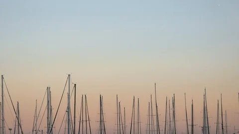 Sail Boats At Sunset Stock Footage 96555703