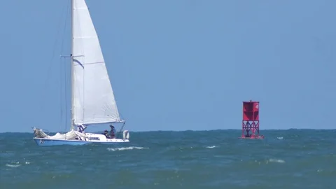 Sail Regeatta Video stock 74586653