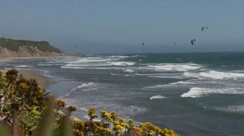 Sail Surfers in the Bay HD Stock Footage