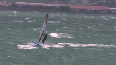 Sailboarding in Wellington Video stock 1035231