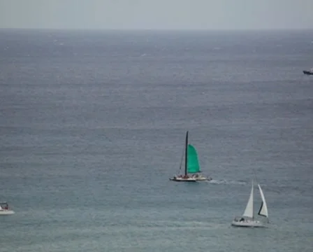 Sailboat 04 PAL 스톡 동영상 8536656