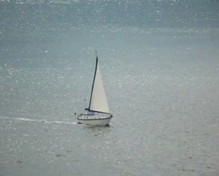 Sailboat 06 PAL Video stock 8841159