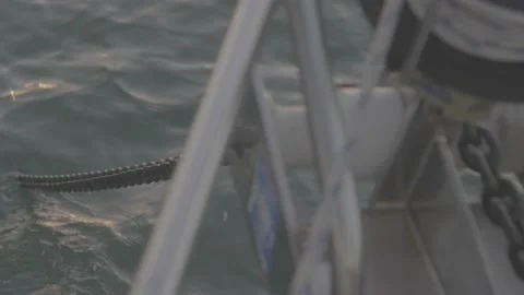 Sailboat anker pull  Stock Footage 236484395