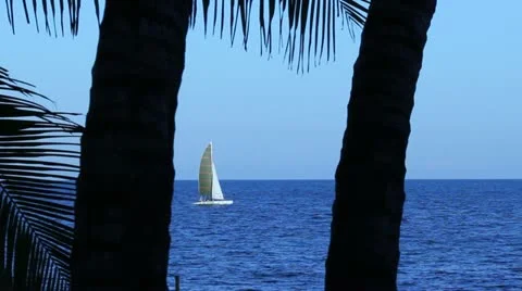 Sailboat Appears Between Two Palm Trees at Dusk  (HD) Stock Footage 12603869