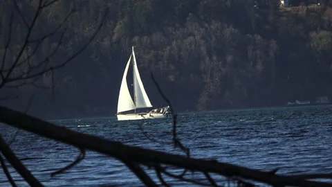 Sailboat in the bay Stock-Footage 147170854