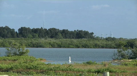 Sailboat &amp; Buoy Stock Footage 304846
