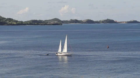 Sailboat off the coast of Grenada Stock Footage 999267