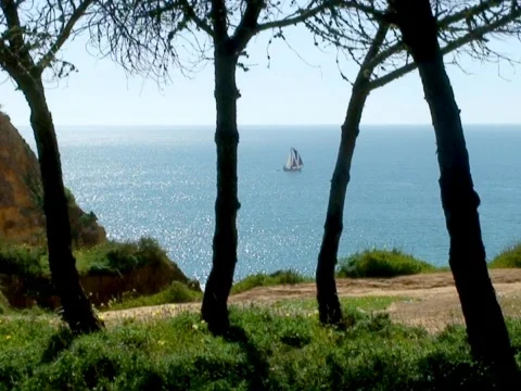 Sailboat Stock Footage 490156