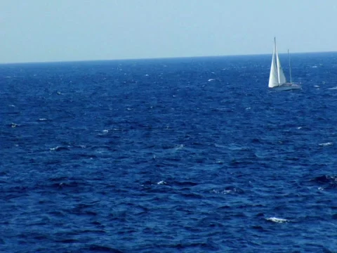 Sailboat Stock Footage 512602