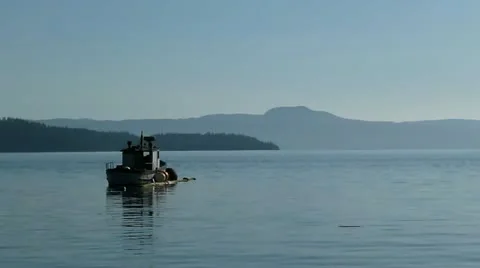 Sailboat Video stock 11629631