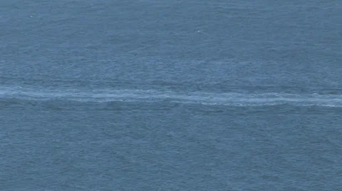 Sailboat Stock Footage 30560804