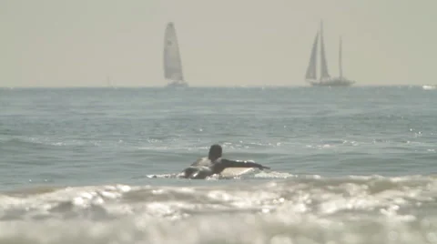 Sailboat Stock Footage 46802232