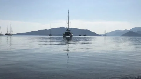 Sailboat Stock Footage 143115558