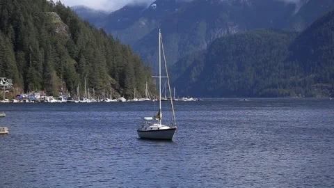 Sailboat  Stock Footage 172116699