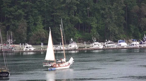 Sailboat, furrowing the sail Stock Footage 50088616