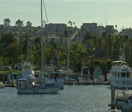 Sailboat in the harbor Stock Footage 46519443