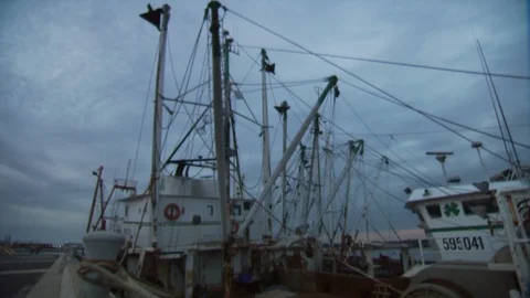 Sailboat in harbor Stock Footage 123876866