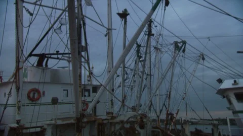 Sailboat in harbor Stock Footage 123876909