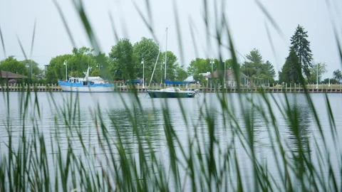 Sailboat in a harbor through the grass, 4k, slow-mo Stock Footage 243841204