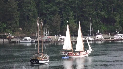 Sailboat, jib sail Stock Footage 50087798