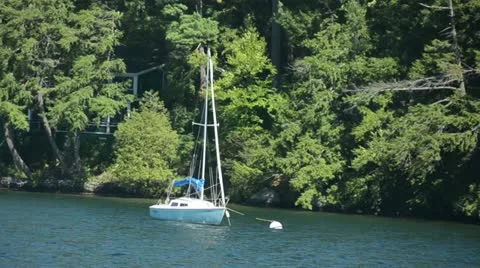 Sailboat on a lake Video stock 12322729