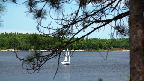 Sailboat on the lake Stock Footage 74833852