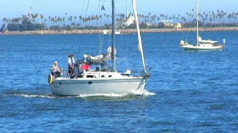 Sailboat In Long Beach, CA Harbor 1 Stock Footage