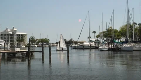 Sailboat in Marina Stock Footage 8973408