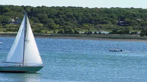 Sailboat at Martha's Vineyard 스톡 동영상 12161773