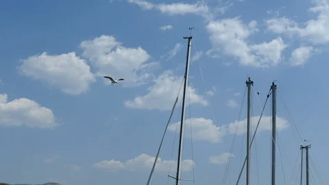 Sailboat masts, seagulls and cloudy sky - Ohrid Macedonia Stock Footage 89415537