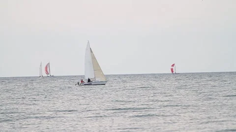 Sailboat in the Middle Video stock 57717333
