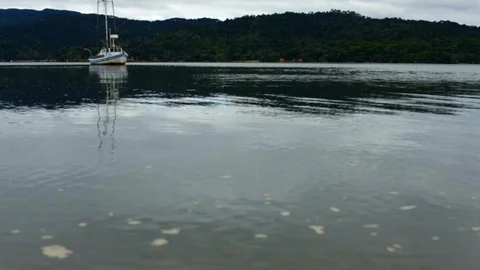 Sailboat moored in a tranquil bay. Video stock 88405253