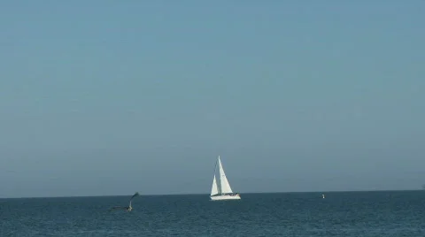 Sailboat on Ocean 02 Video stock 752878