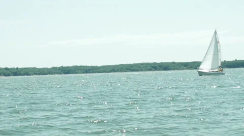 Sailboat on open water Vidéo 54329262