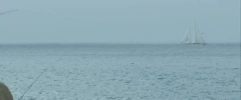 Sailboat passing by, anamorphic Stock Footage 46038888