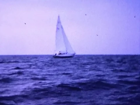 Sailboat passing by Video stock 83469404