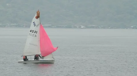 Sailboat with pink spinnaker Stock Footage 8636346
