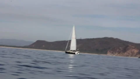 Sailboat playa de oro Stock Footage 7747695