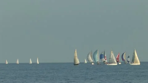 Sailboat Regatta Stock Footage 11518800