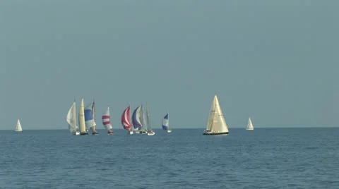 Sailboat Regatta Видео 11518823