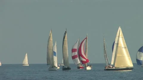 Sailboat Regatta Stockbeeldmateriaal 11518839
