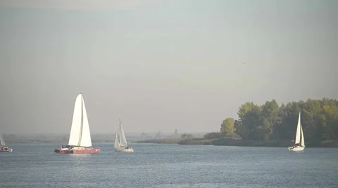  Sailboat Regatta on the River Stock Footage 61232500