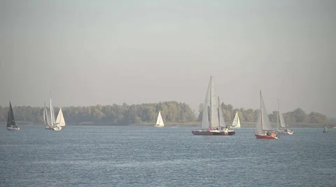 Sailboat Regatta on the River Stock Footage 61232522
