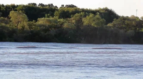 Sailboat on the river_0723 Stock Footage 26733519