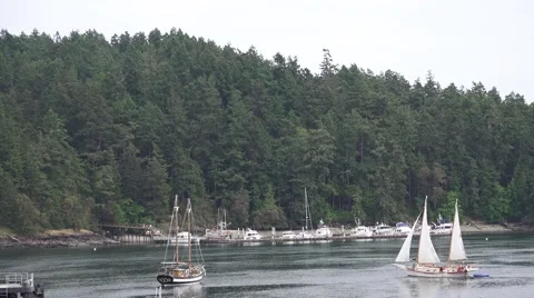 Sailboat, safe harbor Stock Footage 50087879